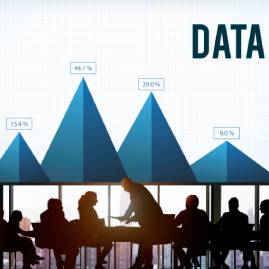 Master Data & Information Governance